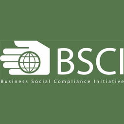 深圳九域企業管理 一站式EICC驗廠咨詢輔導，助力企業合規與卓越